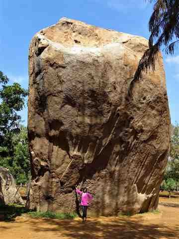 बाघ की गुफाएं