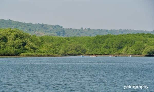 गोवा बोटिंग और कयाकिंग