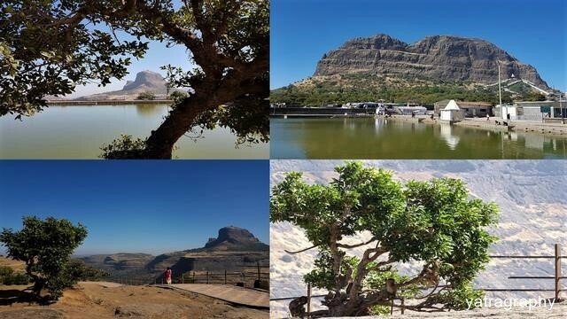 things to do at saptashrungi