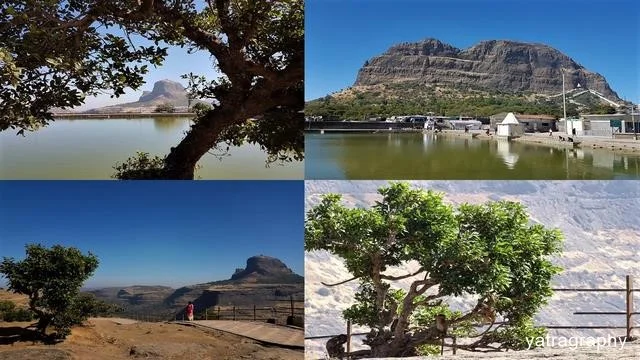 things to do at saptashrungi