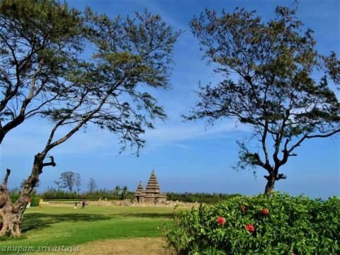 shore temple mahabalipuram