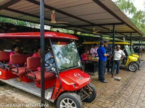 biological park sajjangarh