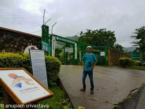 sajjangarh biological park udaipur