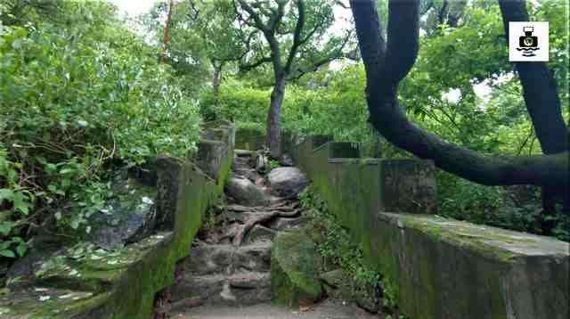 टॉड रॉक माउंट आबू की फोटो