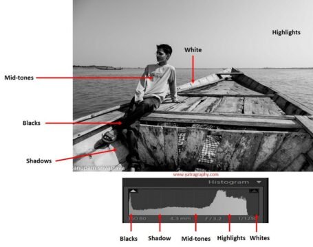 हिस्टोग्राम