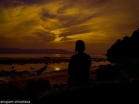 sunset in background