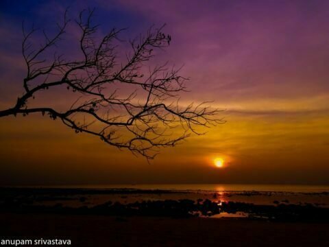 सनसेट फोटो