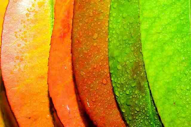 फोटोग्राफी के प्रकार - abstract