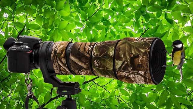 टेलीफोटो कैमरा लेंस