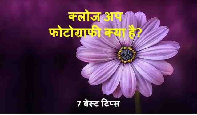 क्लोजअप फोटोग्राफी फूल की