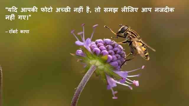 caption for flower photography